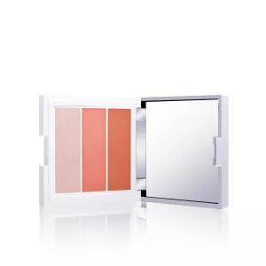 Palette de blush en poudre 3 en1