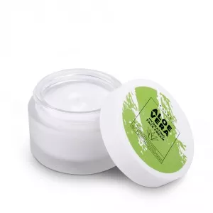 Crème hydratante pour le visage à l’Aloe Vera