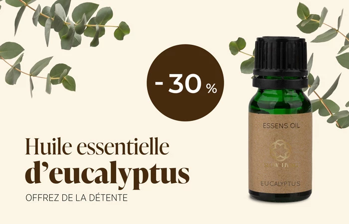 Le parfum frais de l’eucalyptus pour le corps et l’esprit