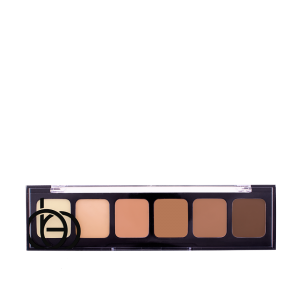 Correct & Conceal Palette 02