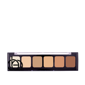 Correct & Conceal Palette