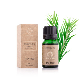 Ätherisches Öl − Teebaum
